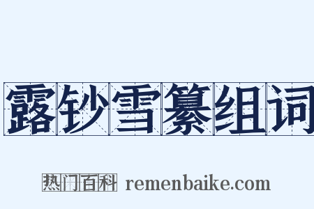 露钞雪纂组词是什么意思的图片